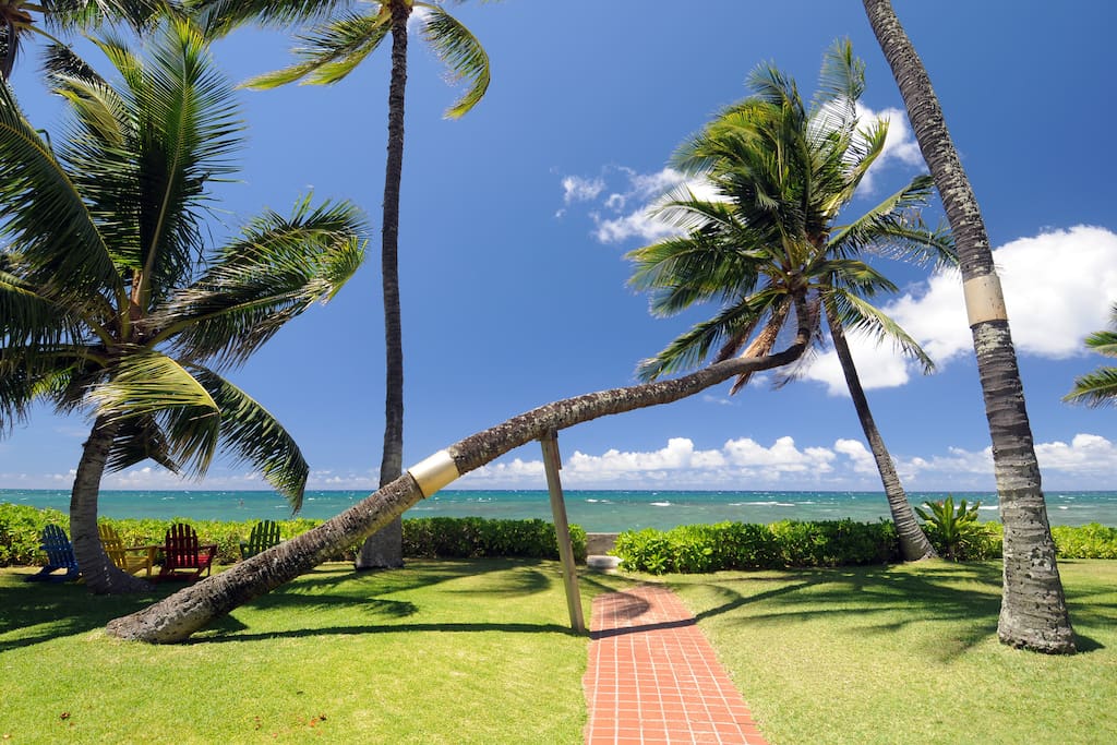Path to the Beach