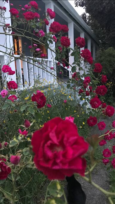 Summer porch from the backyard