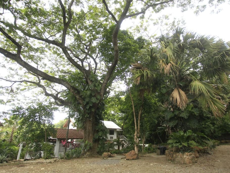 Parking and front of property