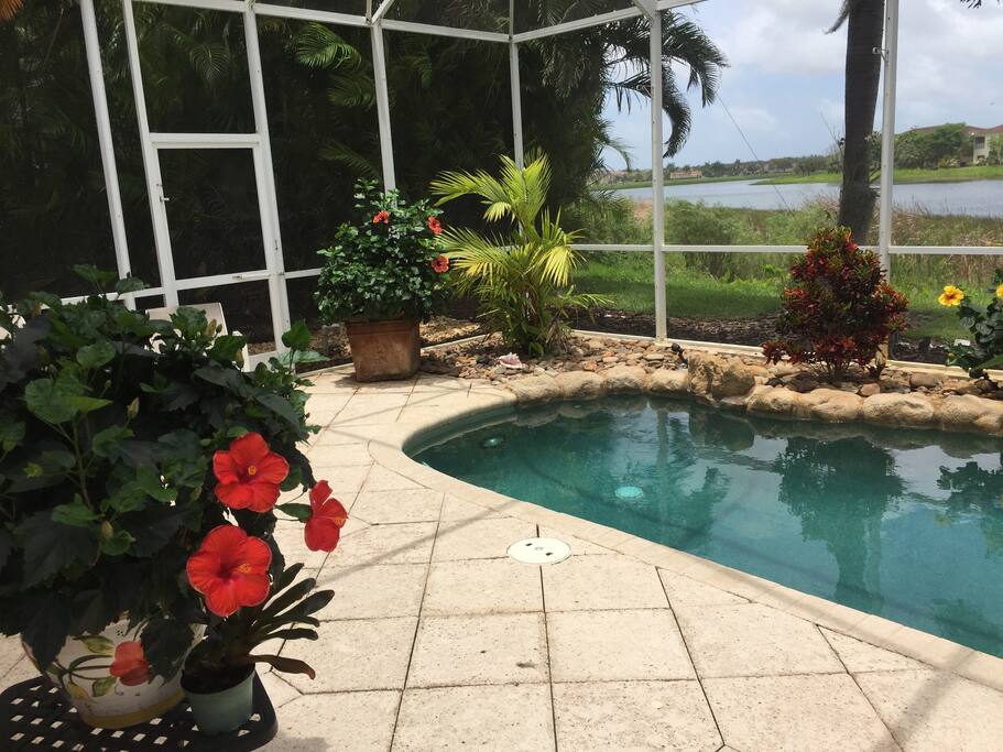 enjoy a swim