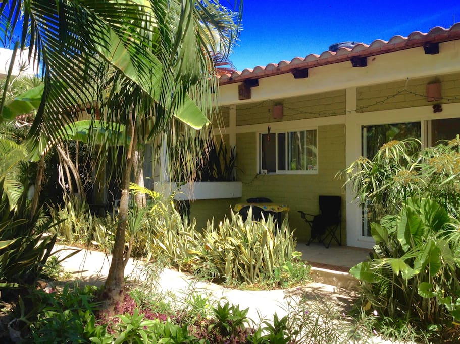 Garden and patio.