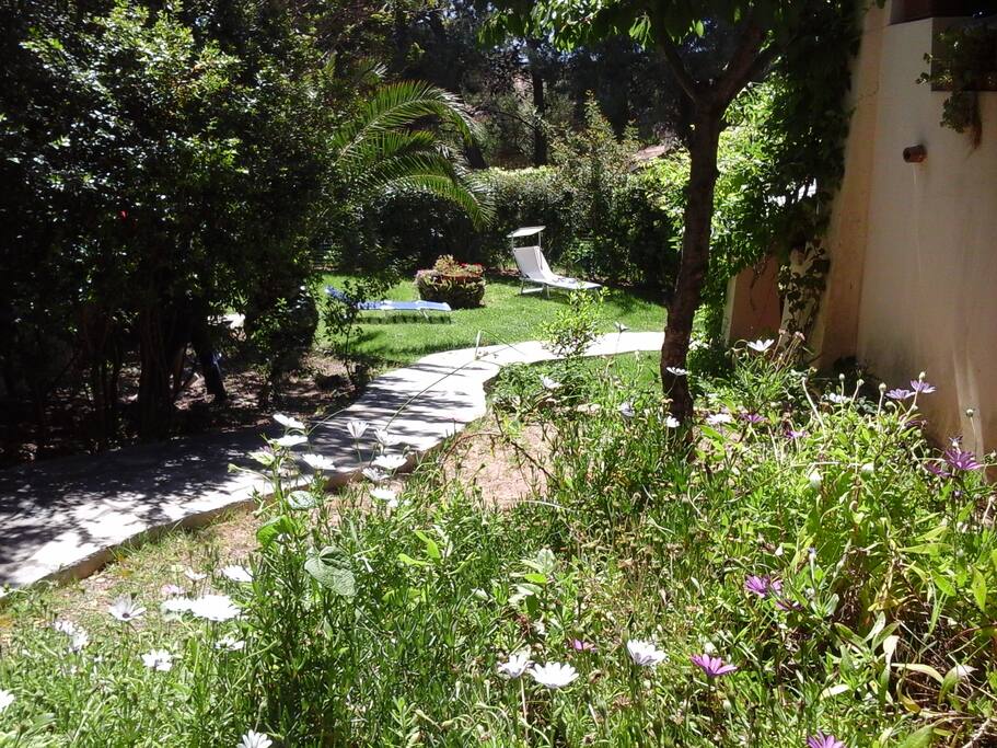 Giardino