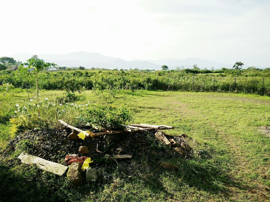 You can't see it in this picture, but you can see Lake Victoria from my garden.