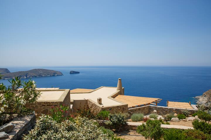 Daisies gallery image 2