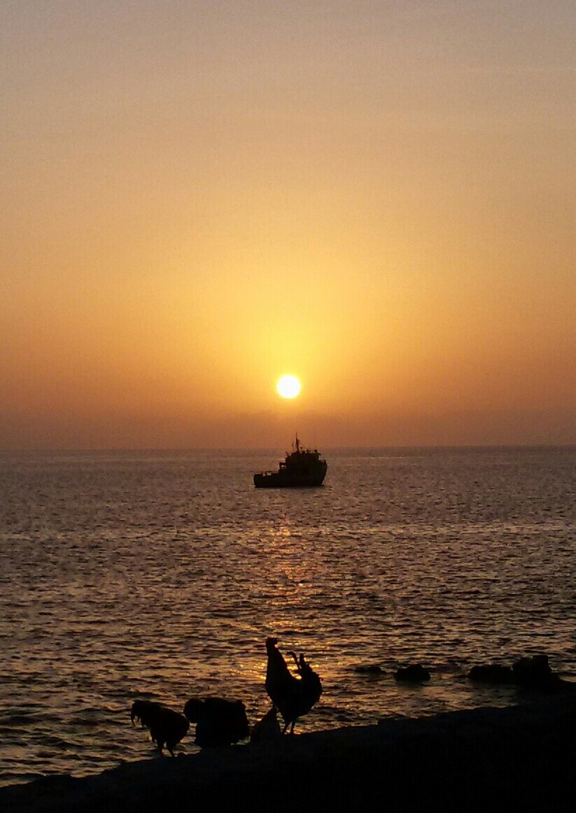 A serene sunset is depicted over the calm sea, with the sun slowly descending on the horizon. Silhouettes of animals are visible in the foreground, and a fishing boat can be seen drifting on the water, contributing to a peaceful coastal scene.