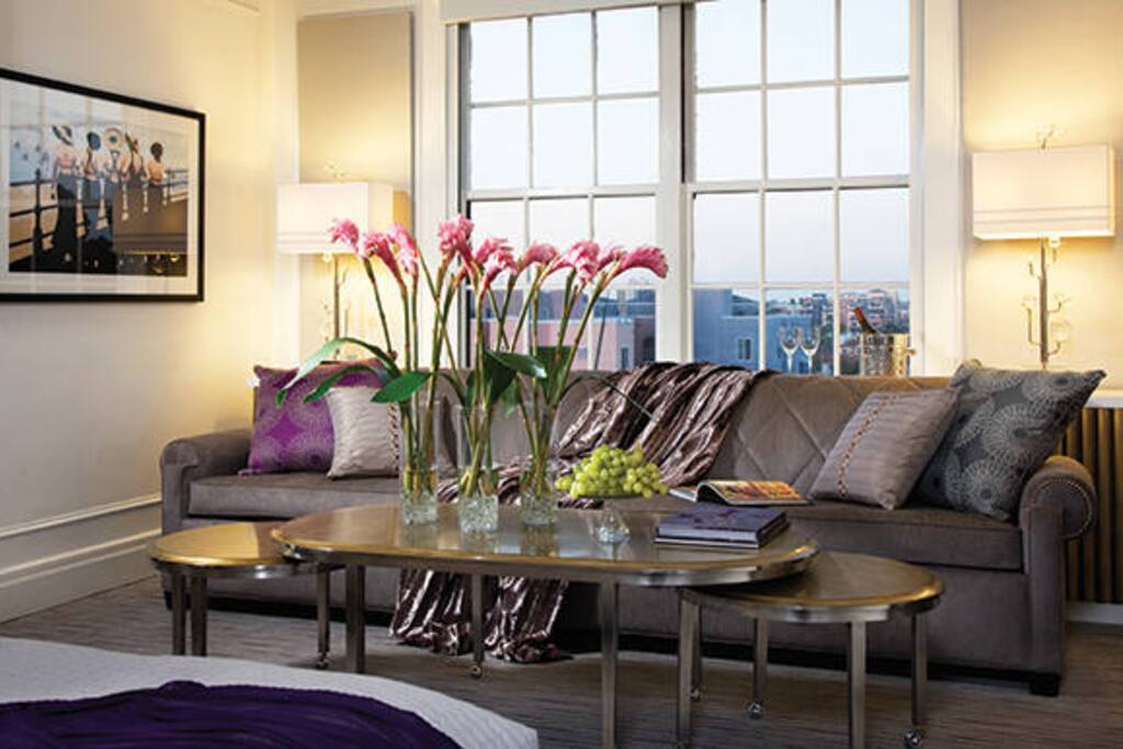 Two twin sleeper sofas
