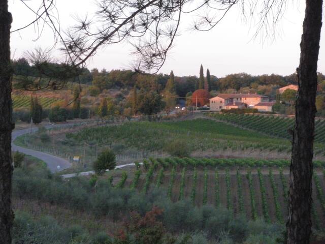 Al "Casuccio"