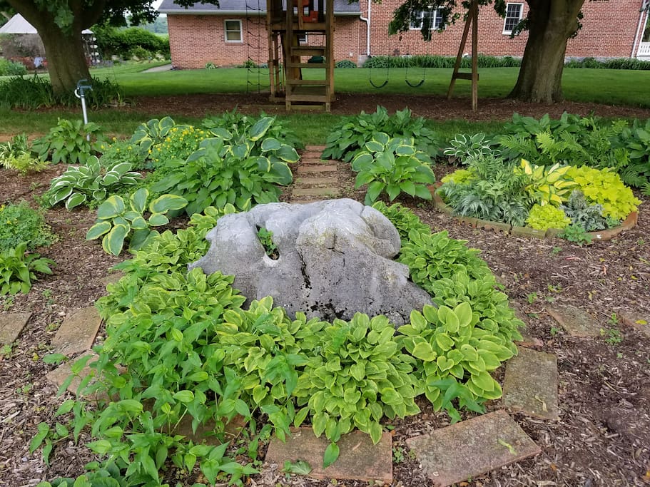Shade Garden