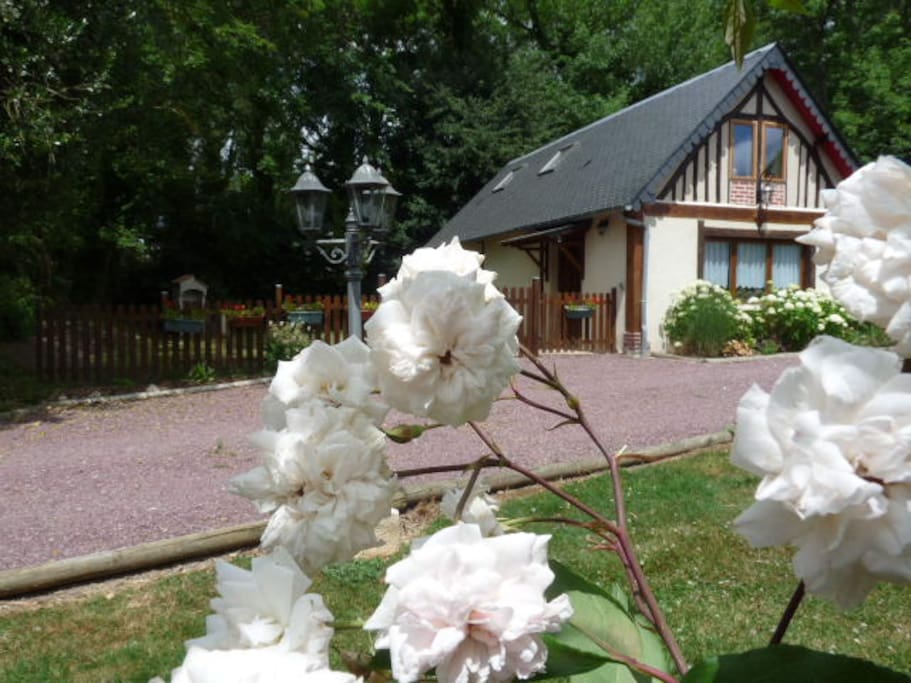 Parmi les Fleurs!