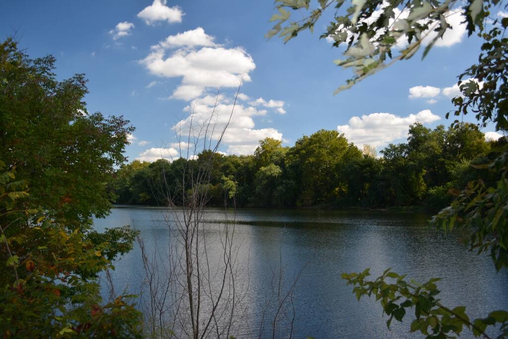 View on the walking trail