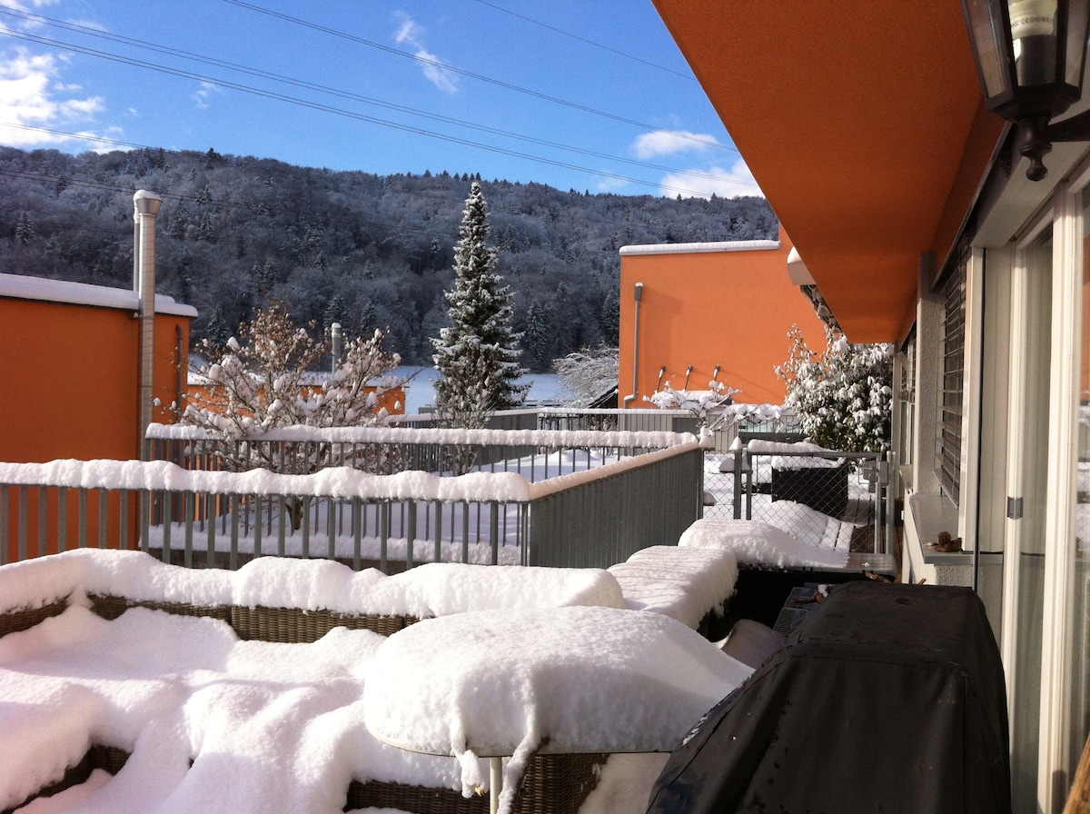 A snow-covered terrace is displayed, featuring comfortable seating and a barbecue grill under a blanket of white. The surrounding landscape includes trees adorned with snow and a clear blue sky above, enhancing the view of the peaceful neighborhood.