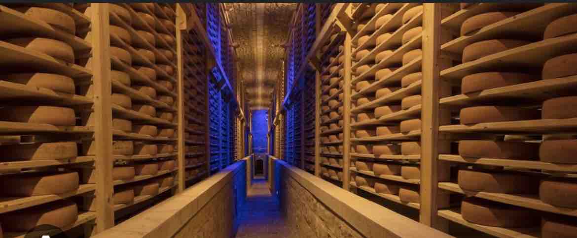 A well-organized cheese cellar is highlighted by wooden shelves filled with round cheese wheels. Soft blue lighting enhances the ambiance while sturdy stone walls provide a rustic touch. A central pathway allows easy access to the neatly arranged cheese, showcasing the craftsmanship involved.