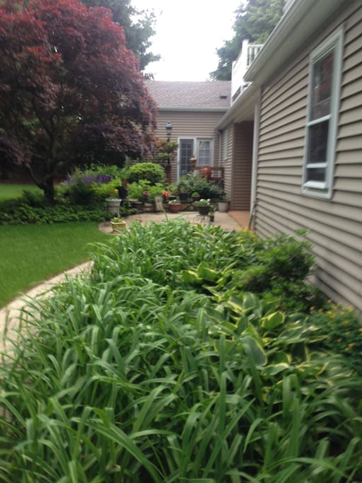 Backyard Access