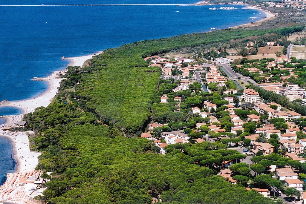 Panorama