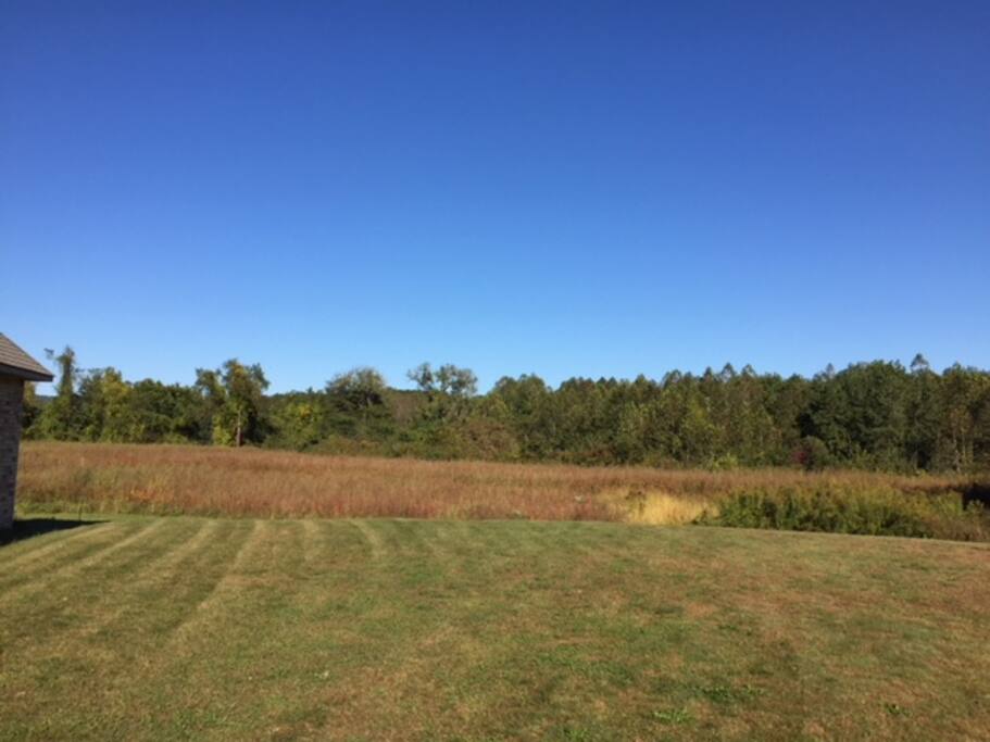 View from the Deck