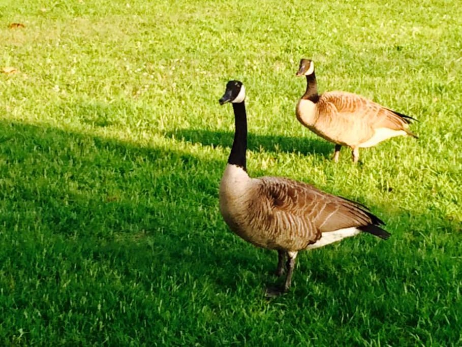 Some of our friends in MacArthur Park