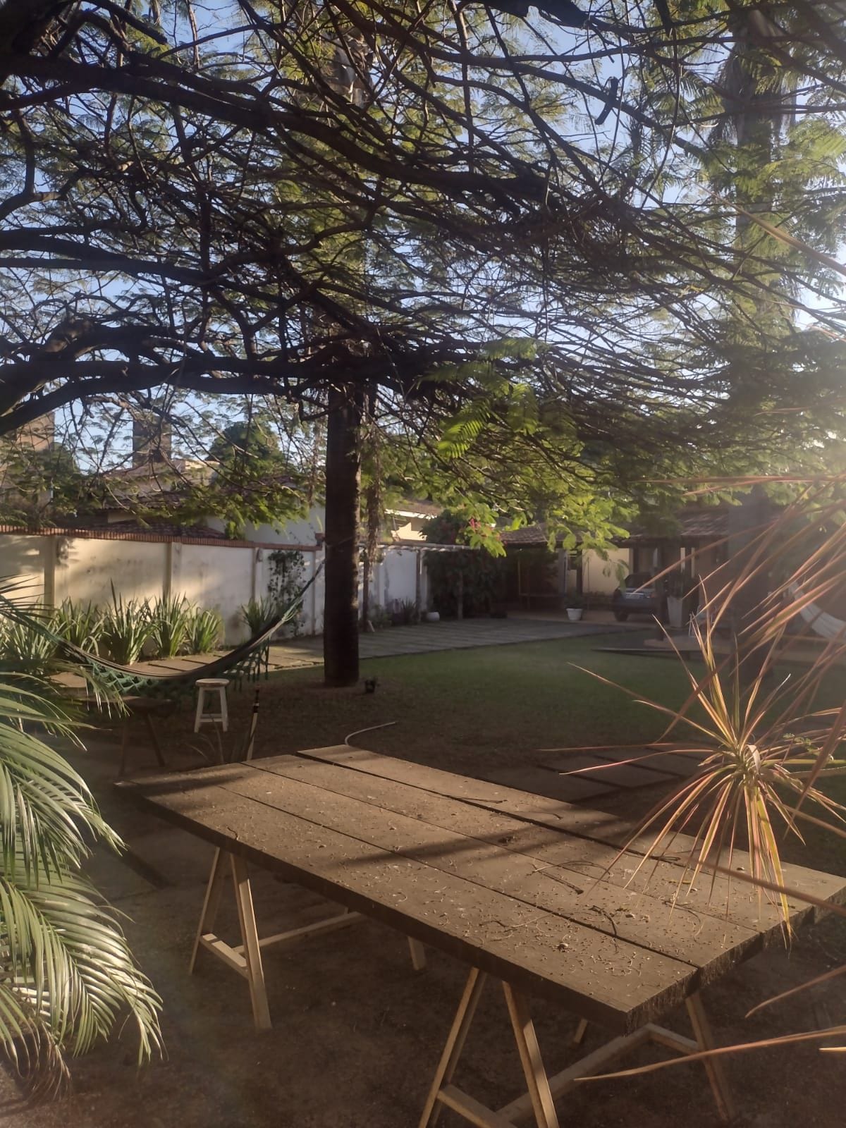A serene garden space features a large wooden table set under a broad tree, providing shade. A hammock is visible nearby, along with various plants lining the perimeter. Soft sunlight filters through the leaves, creating a calm atmosphere in the outdoor area.