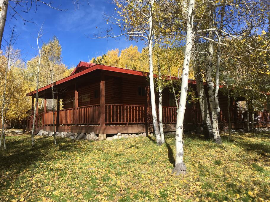 Enjoy the wrap around porch including a gas BBQ grill and patio set