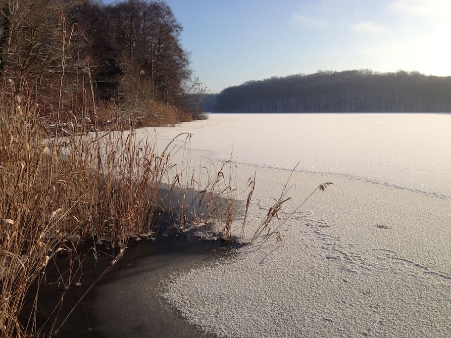 Blick auf den See im Winter