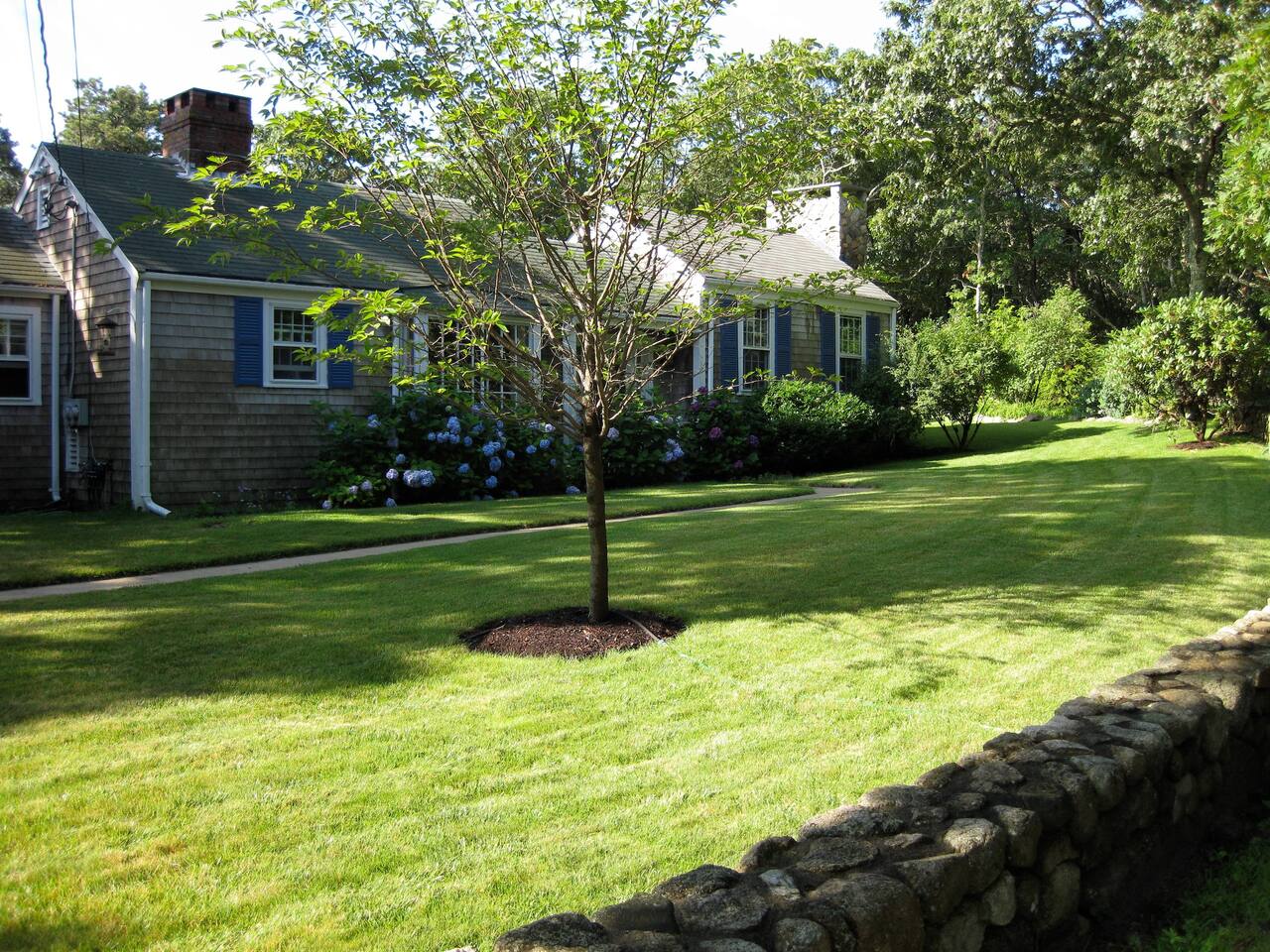 Image of Airbnb rental in Martha's Vineyard