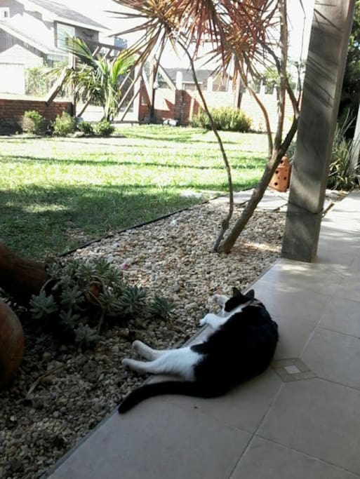 Jardim frente casa
