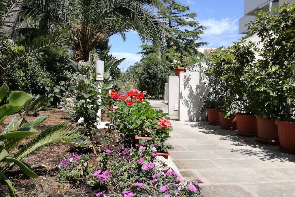 Ingresso Entrance