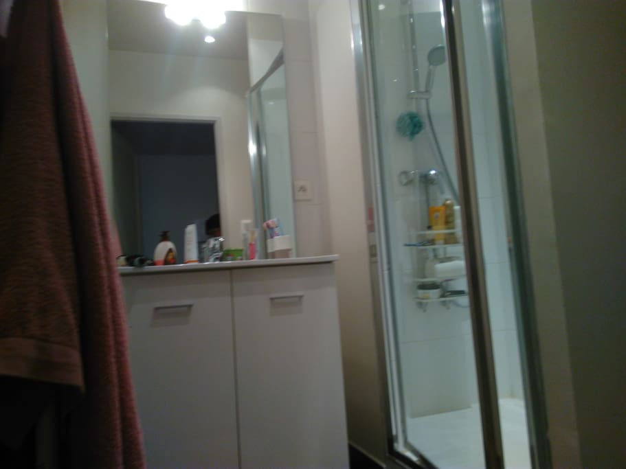 salle d'eau avec grande douche