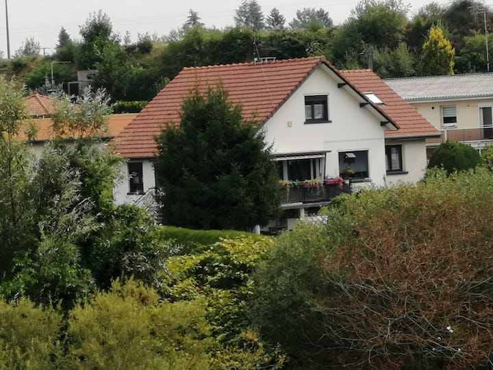 Small green area on the edge of the Moselle