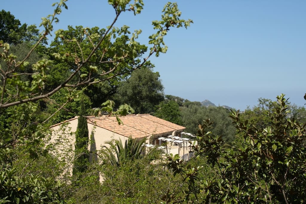 vue d ensemble
