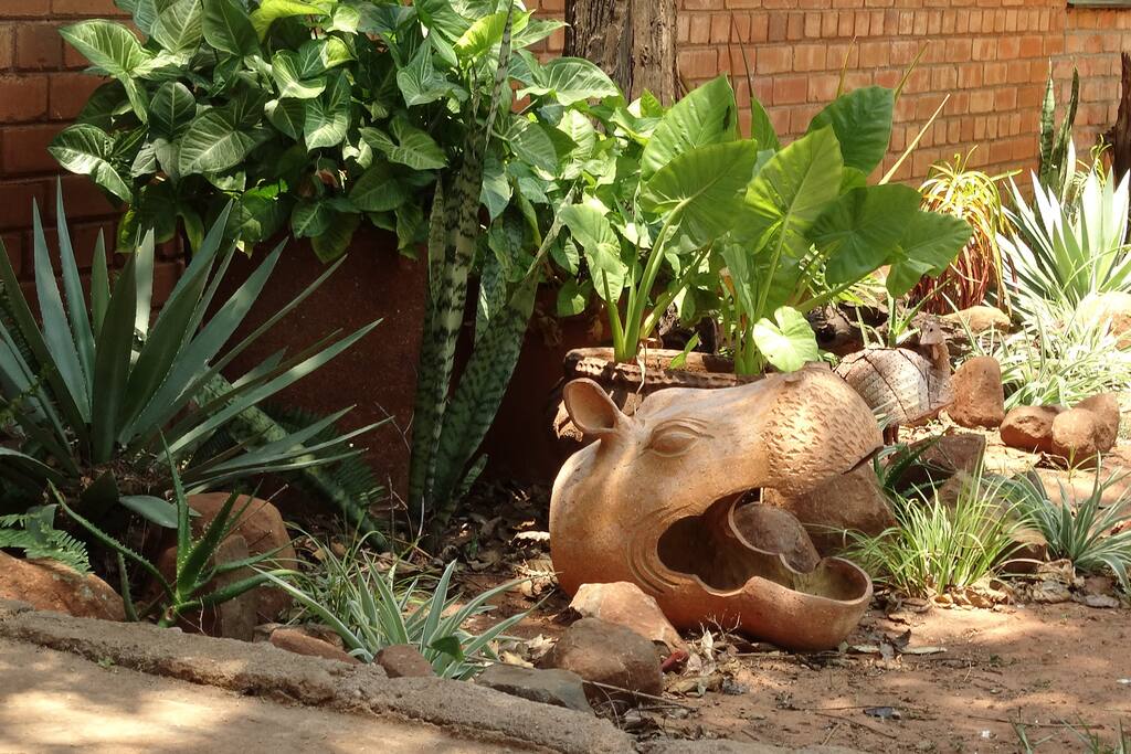 hippo house