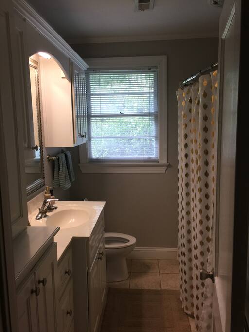 Hall Bathroom