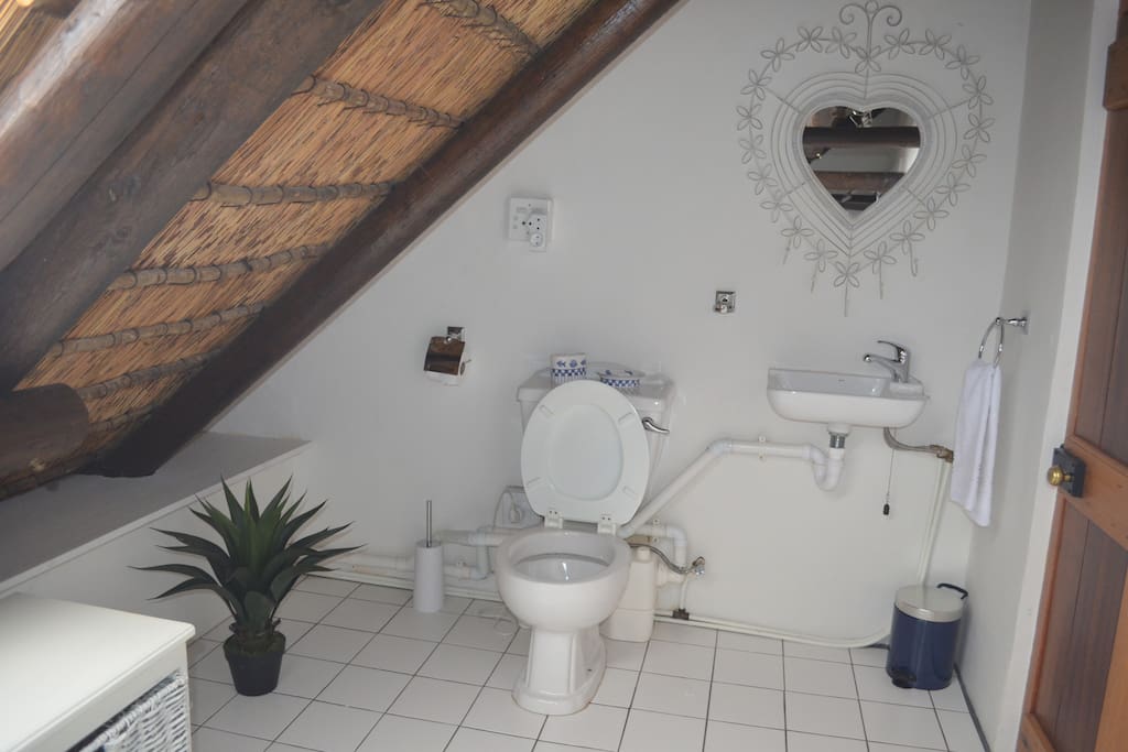 Toilet/bad tilhørende Garden Room.
