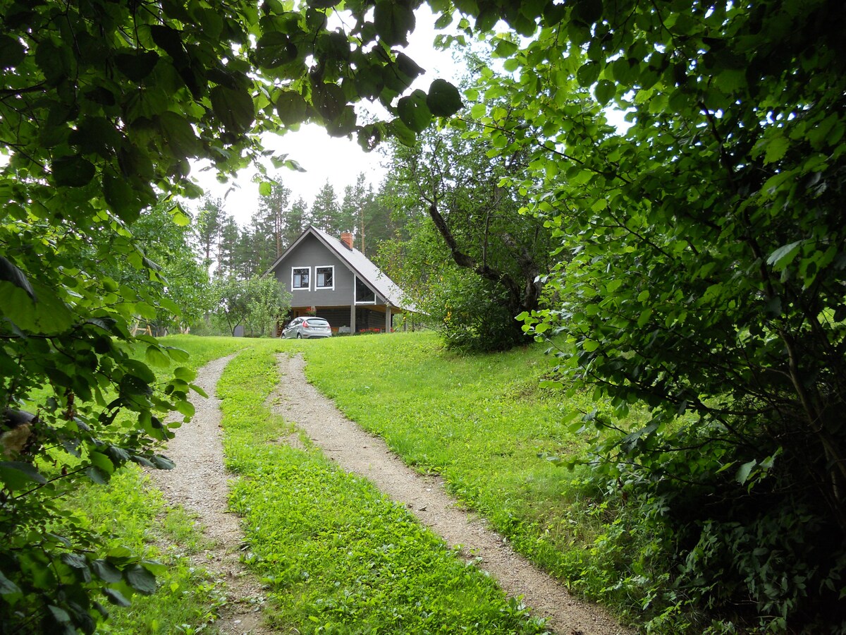 A gravel path winds through lush greenery, leading to a rustic guest accommodation set amidst trees. The two-story building, featuring a sloped roof, is partially visible through the surrounding foliage, with a car parked nearby.