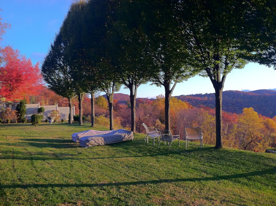 The garden view of the mountains