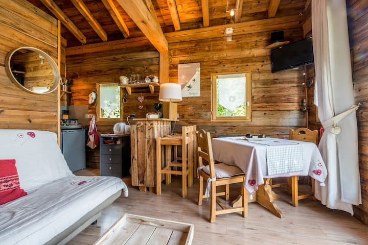 Chalet savoyard dominant lac Leman - Chalets à louer à Armoy, Rhône-Alpes,  France - Airbnb