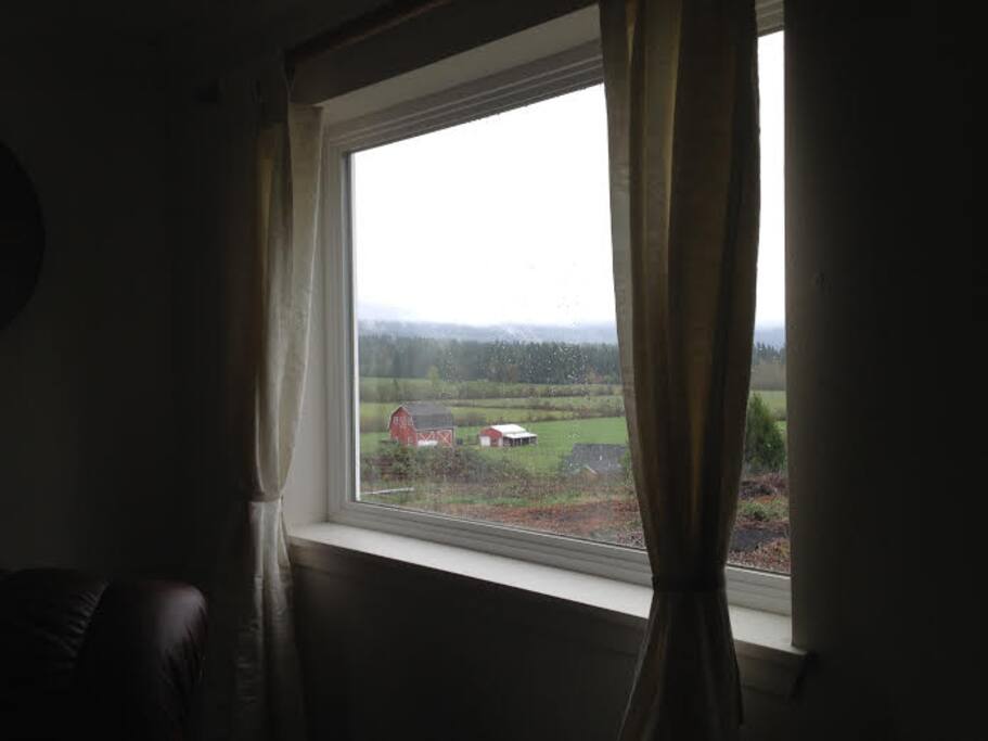 Views from every window.