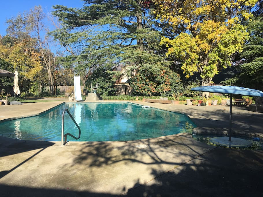 Swim up pool bar with shade