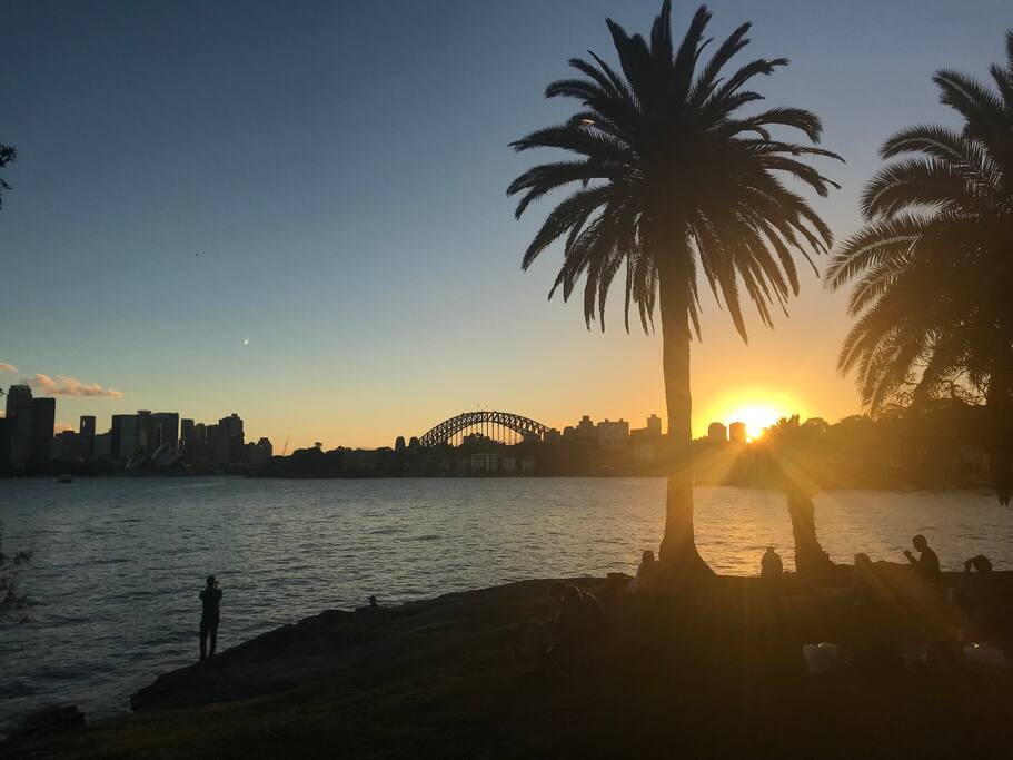 Cremorne Point circuit walk