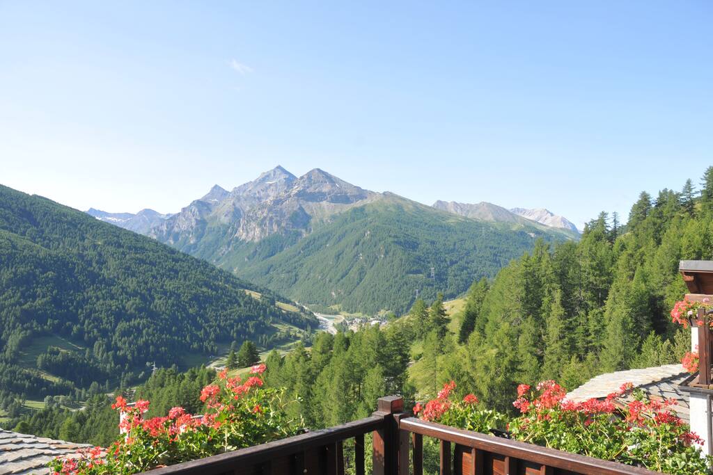 Vista primavera / Spring view