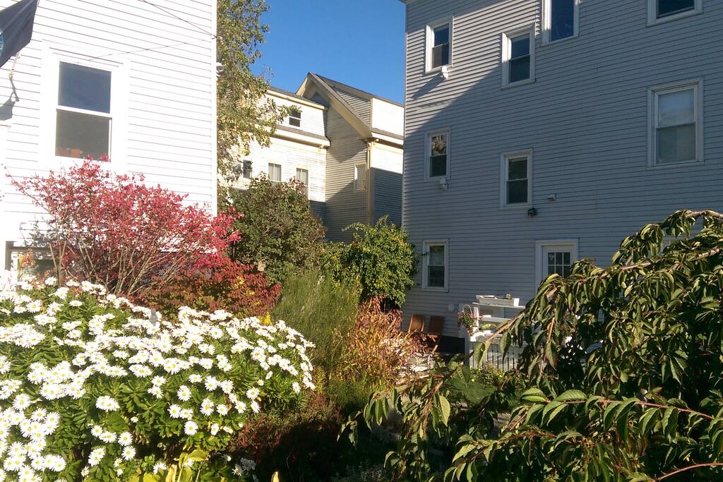view of our cottage + gardens