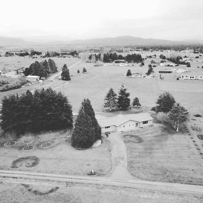Birds Eye View