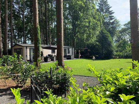Unique chalet spacious plot forest park Ruighenrode Lochem