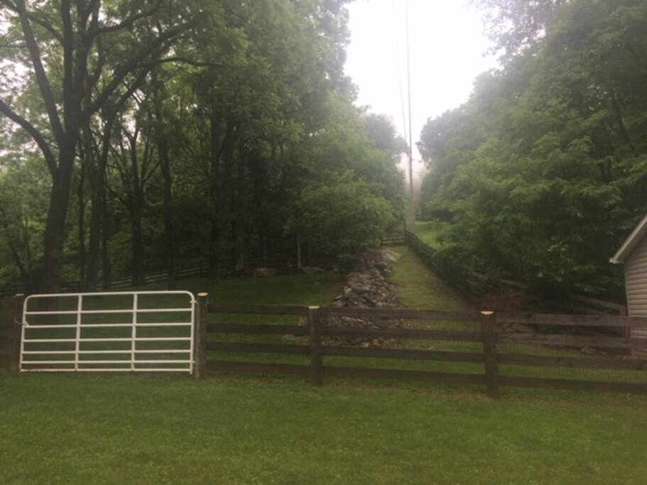 Side yard view