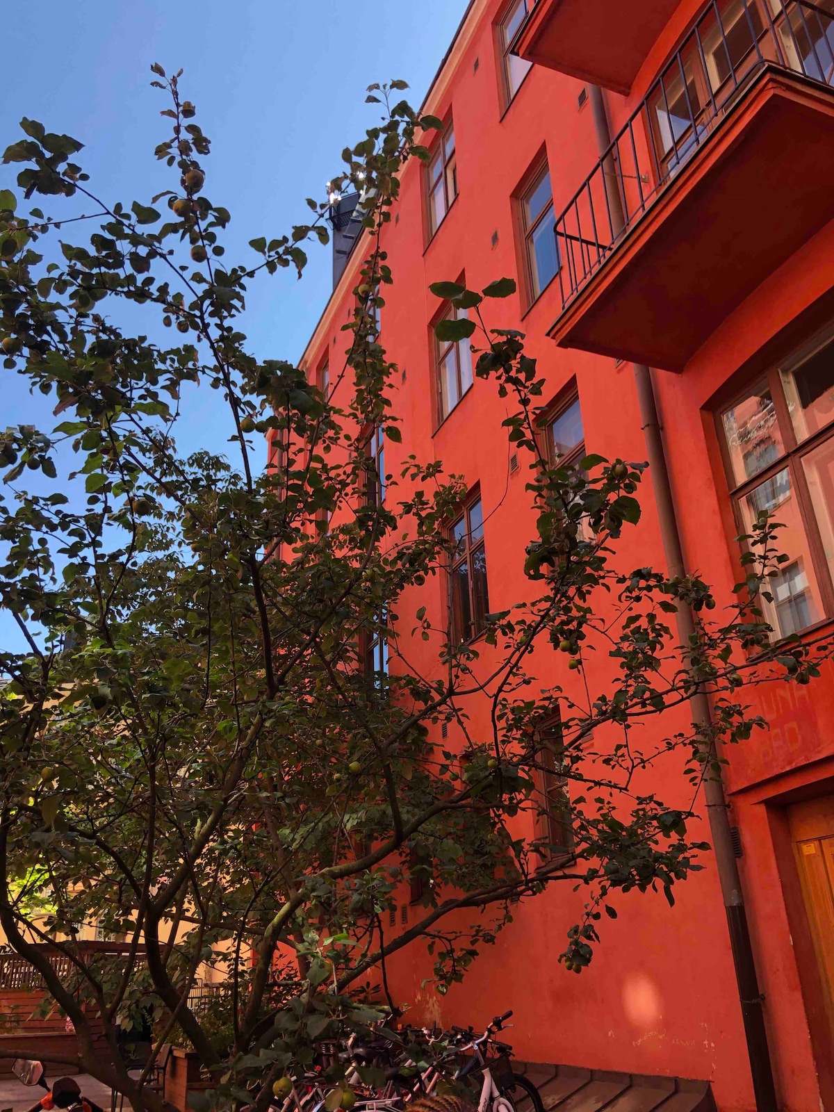 A vibrant red building is shown from an outdoor perspective, featuring large windows that reflect natural light. A leafy tree is positioned in the foreground, adding greenery to the scene. Bicycles can be seen parked nearby.