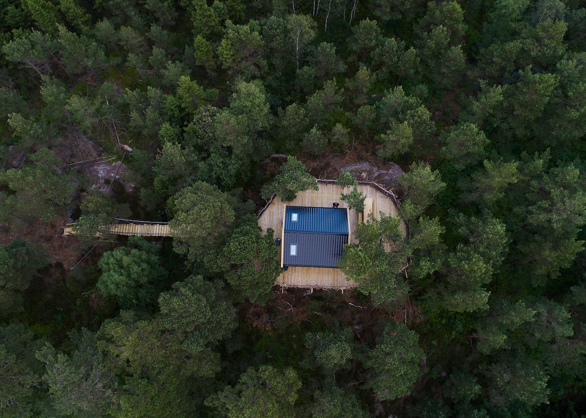 The treehouse is nestled among dense greenery, surrounded by tall trees. A wooden deck wraps around the structure, providing outdoor space. A pathway leads from the deck to the surrounding forest, inviting exploration.