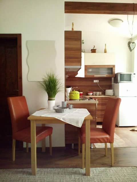*TOP PRICE &TOP LOCATION* apartment in city center