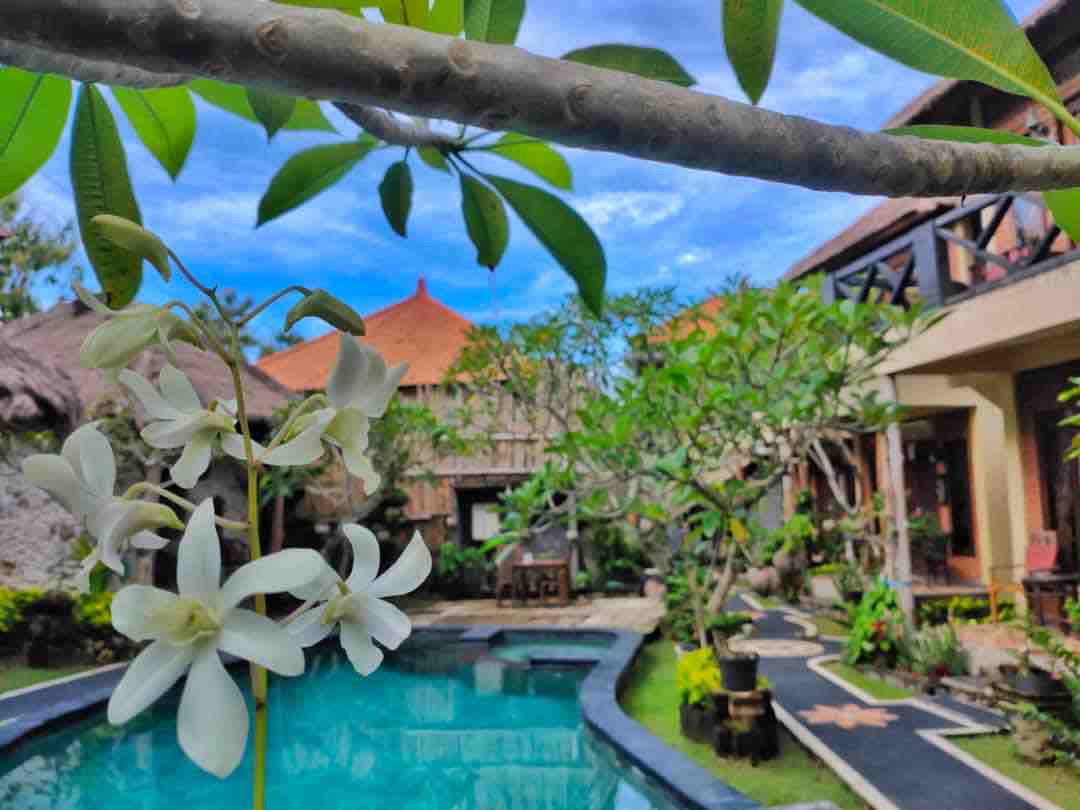 A lush garden is visible, featuring a clear swimming pool surrounded by tropical plants. White orchids, delicately hanging from a branch, add a touch of nature. Various structures with thatched roofs and a stone pathway can be seen alongside greenery, creating a serene environment.