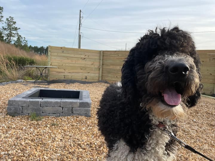 Waycross Vacation Rentals & Homes United States Airbnb