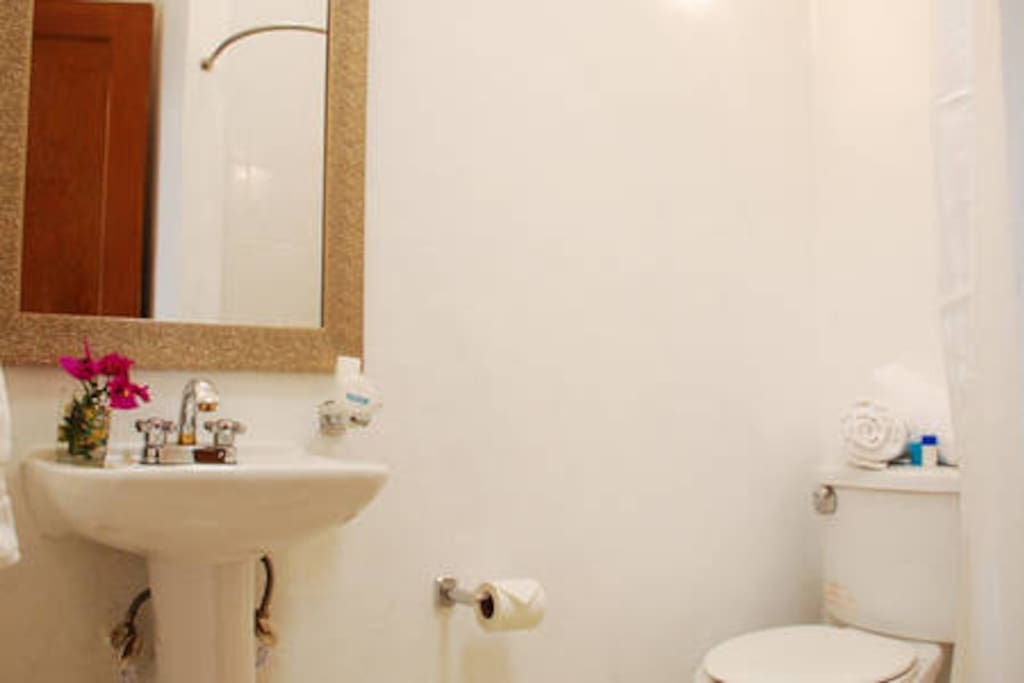 PRIVATE BATHROOM ORCHID BEDROOM-
Full bathroom with shower provided with clean towels, soap , shampo and cream