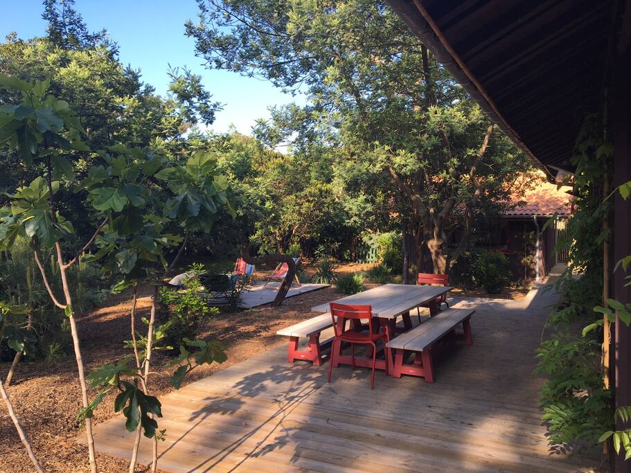 Terrasse sud/South Terrace